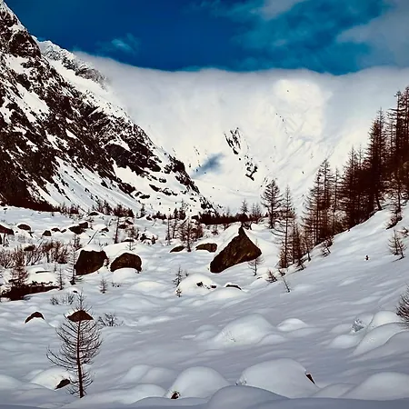公寓 Caldo Rifugio Con Giardino In Pieno Centro 库马约尔