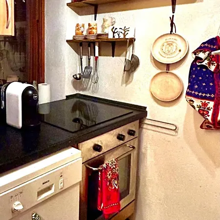 Caldo Rifugio Con Giardino In Pieno Centro Appartamento *